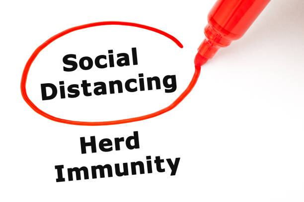 Choosing Social Distancing Over Herd Immunity Concept Choosing the Social Distancing vs Herd Immunity measures in pandemic situation. Concept about the Coronavirus Covid-19 outbreak. herd immunity photos stock pictures, royalty-free photos & images
