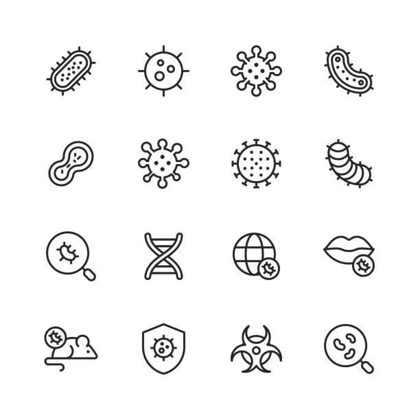 Virus and Bacteria Line Icons. Editable Stroke. Pixel Perfect. For Mobile and Web. Contains such icons as Bacterium, Infection, Disease, Virus, Cell, Flu, Research, Pandemia, Mouth. 16 Virus and Bacteria Outline Icons. disinfection stock illustrations