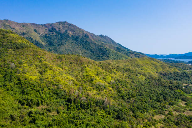 istock Pat Sin Leng is a mountain range in Hong Kong 1214915928