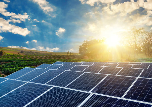 istock Sunset over Solar energy Farm plant 1214915940