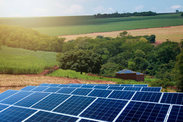 istock Sunset over Solar energy Farm plant 1214915946