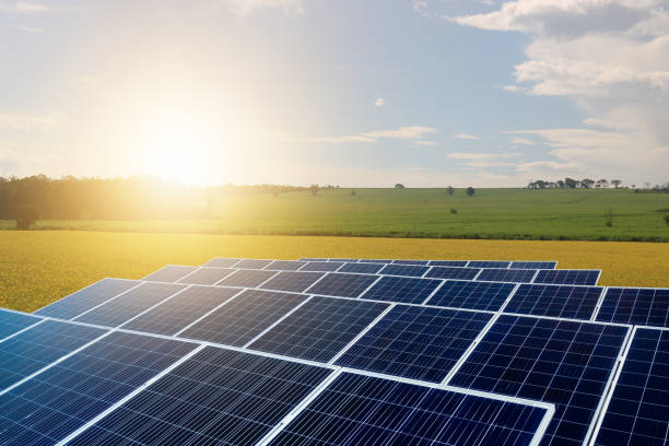 istock Sunset over Solar energy Farm plant 1214915948