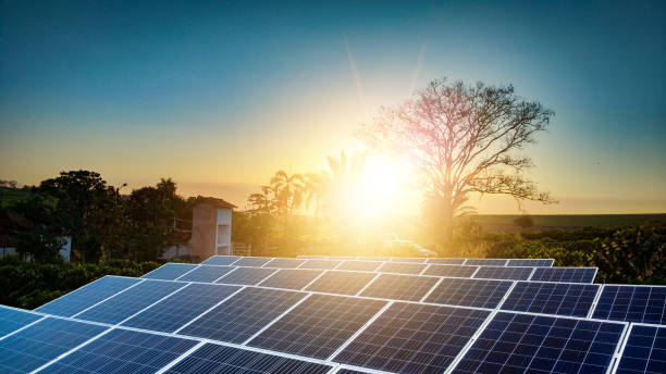 Sunset over Solar energy Farm plant stock photo