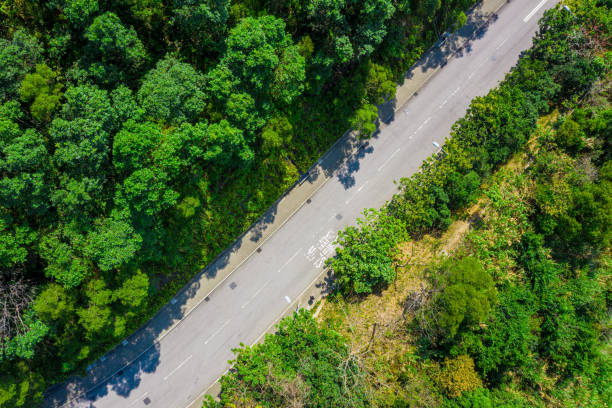 istock Aerial View of a road winding through a forest 1214916055