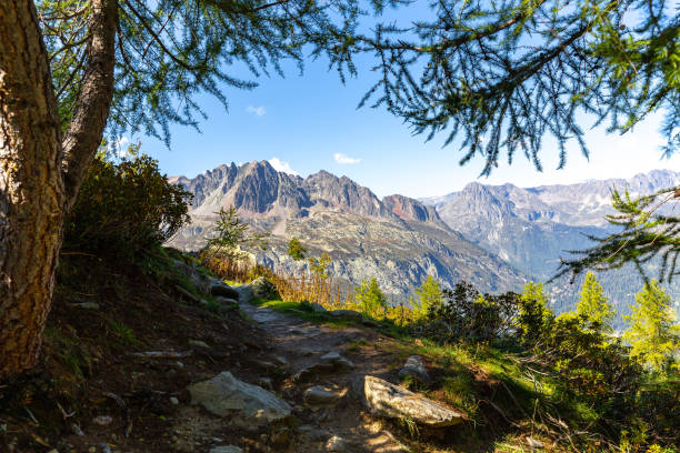 Mont Blanc Massif. French Alps.\u2028http://www.massimomerlini.it/is/nature.jpg\u2028http://www.massimomerlini.it/is/winter.jpg