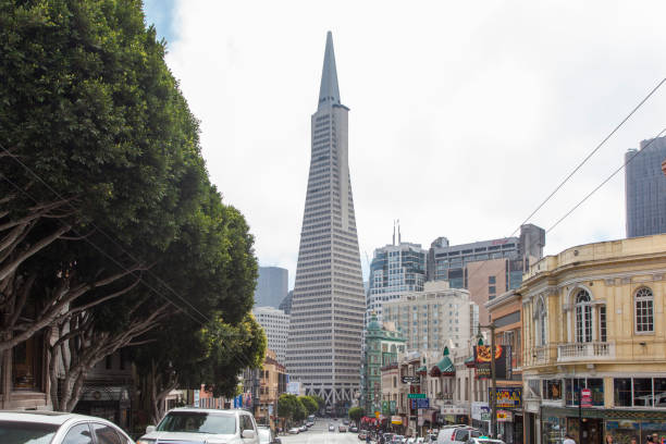 Transamerica Pyramid of San Francisco September, 10, 2016 modern building that was the tallest skyscraper in San Francisco transamerica pyramid san francisco stock pictures, royalty-free photos & images