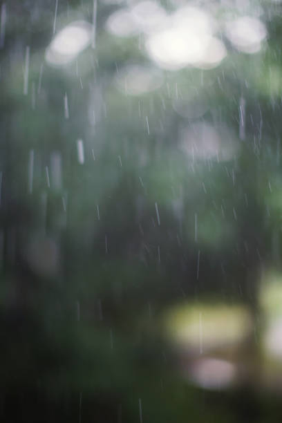 istock Rain drops on a background of green trees 1214918570