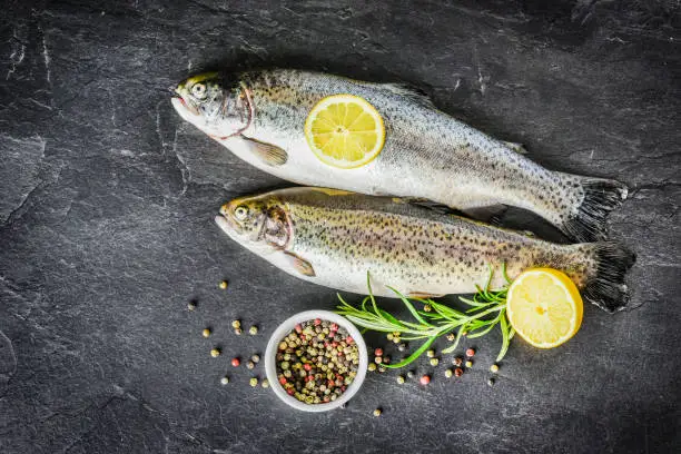 Fresh trout on dark table with salt pepper and rosemary. Tasty fish prepare for eating.