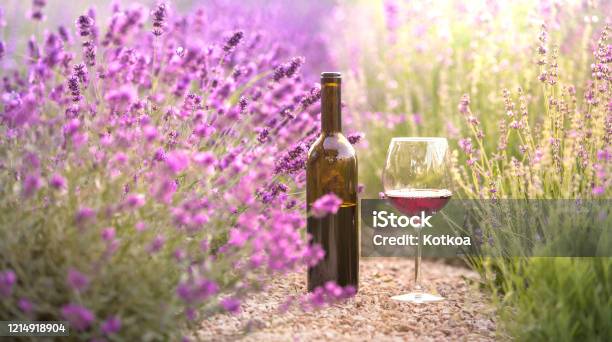 Red Wine Bottle And Wine Glass On The Ground Bottle Of Wine Against Lavender Landscape Sunset Over A Summer Lavender Field In Provence France Stock Photo - Download Image Now