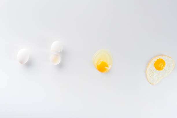 istock top view of eggs transformation from raw to fried on white 1214920402
