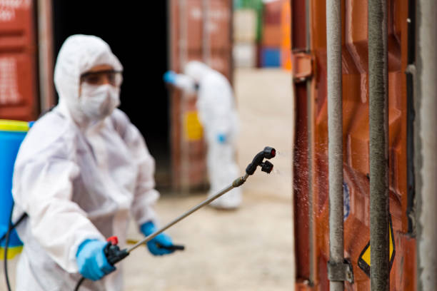 istock Disease control service Staff Disinfect Cargo To Prevent Spread COVID-19 1214922376