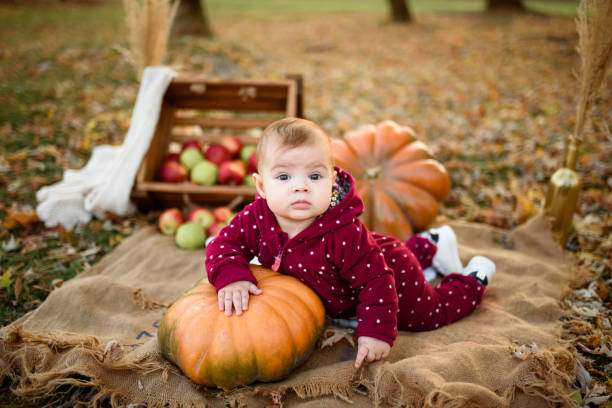 little girl leans on a pumpkin. - smiling little girls little boys autumn imagens e fotografias de stock