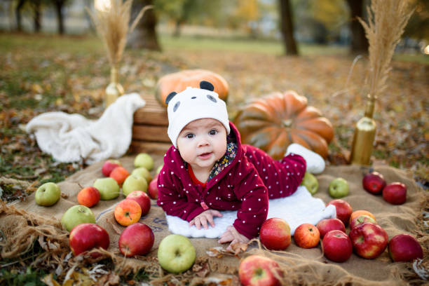 Little girl chooses an apple for the first feeding stock photo