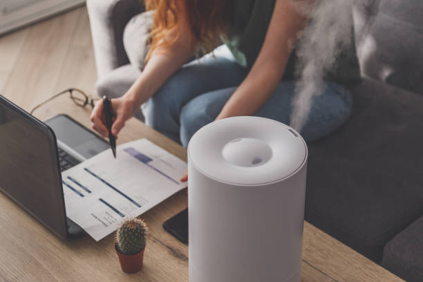 여성 프리랜서는 노트북과 문서가있는 가정용 가습기를 홈 오피스에서 사용합니다. - humidifier steam home interior appliance 뉴스 사진 이미지