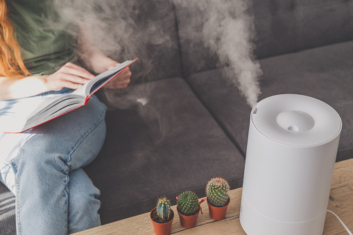 Household humidifier at home on table near woman reading on sofa.