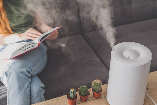 Household humidifier at home on table near woman reading on sofa stock photo