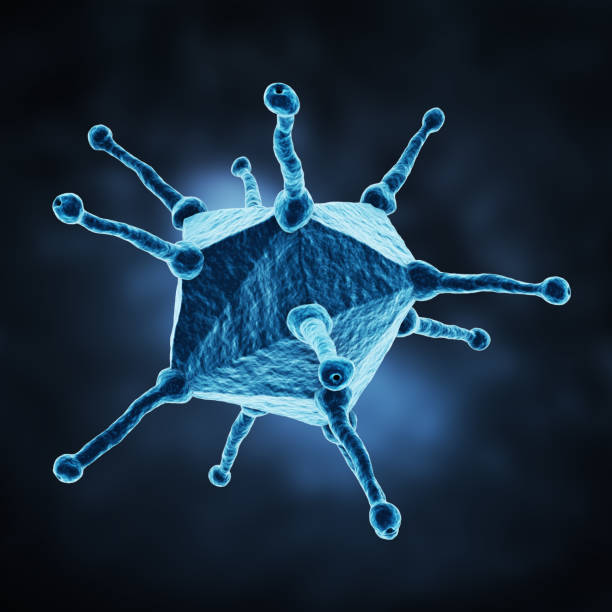 Adenovirus on a dark background. 3d illustration