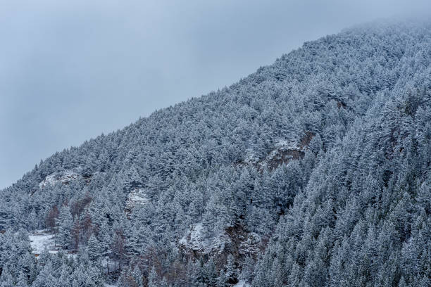 istock Snowy mountains after a big snowfall in Andorra. 1214930146