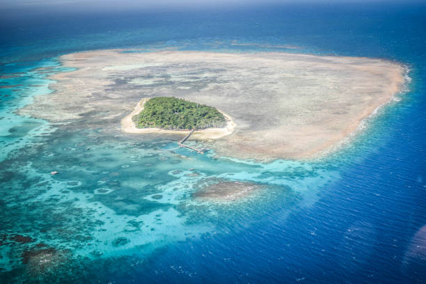 istock Great Barrier Reef in Australia 1214931919
