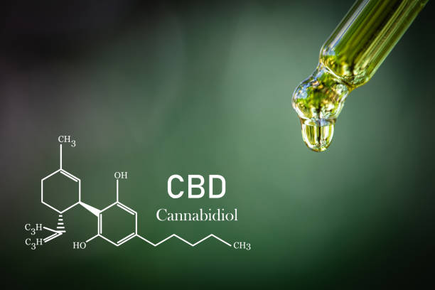 istock CBD elements in Cannabis,  droplet dosing a biological and ecological hemp plant herbal pharmaceutical cbd oil from a jar. Concept of herbal alternative medicine. 1214933395