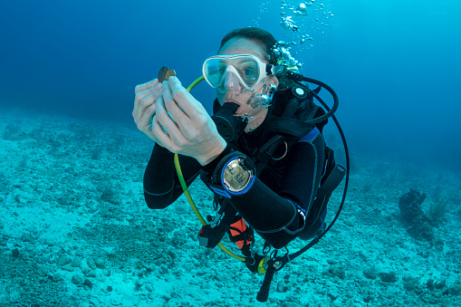View of a woman scuba diving holding antique coins in Grand Cayman - Cayman Islands