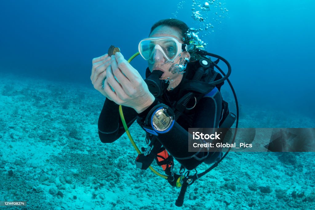 Scuba diving scavenger hunt View of a woman scuba diving holding antique coins in Grand Cayman - Cayman Islands Antiquities Stock Photo