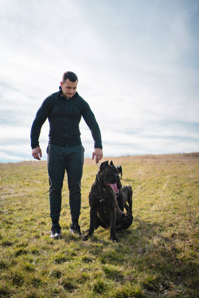istock Muscular man walking his Cane Corso dog 1214939755