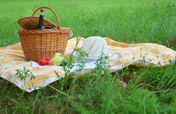 Cesta de Picnic - foto de stock