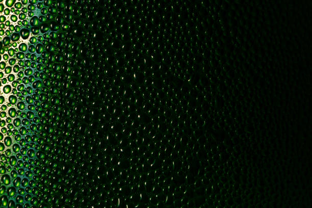 istock colored water droplets condensation bubbles art colorful bubbles pattern abstract macro up close green aqua nature texture rain drops reflections clear shiny shower surface splash weather 1214944952