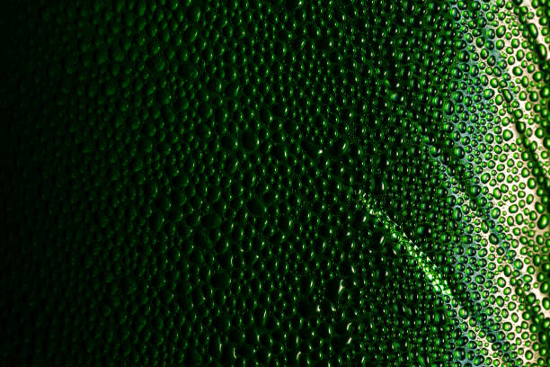 istock colored water droplets condensation bubbles art colorful bubbles pattern abstract macro up close green aqua nature texture rain drops reflections clear shiny shower surface splash weather 1214944966