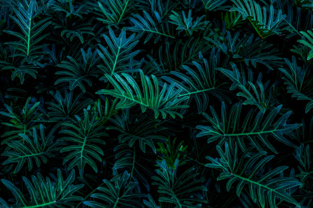 istock abstract green fern leaf background 1214945612