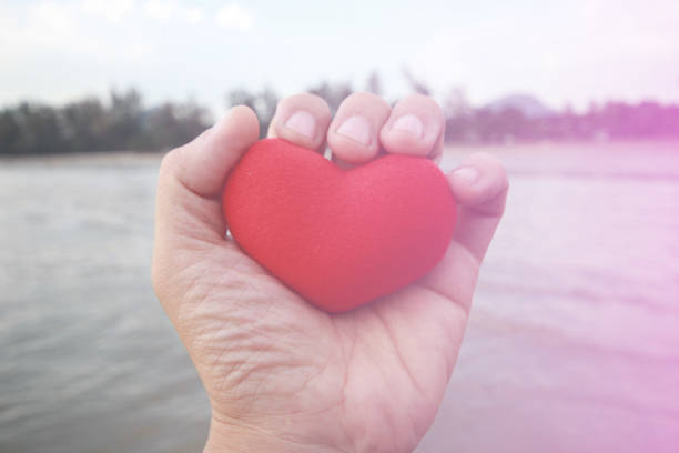 istock man use a heart in his hand. Valentine Love Concepts. 1214945978