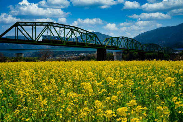 paisaje de la ciudad de miyoshi en la prefectura de tokushima, japón - shikoku fotografías e imágenes de stock