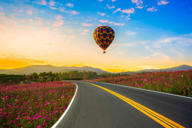 colorful hot air balloon in blue sky over the cosmo flowers and bike lane - grass area field air sky imagens e fotografias de stock