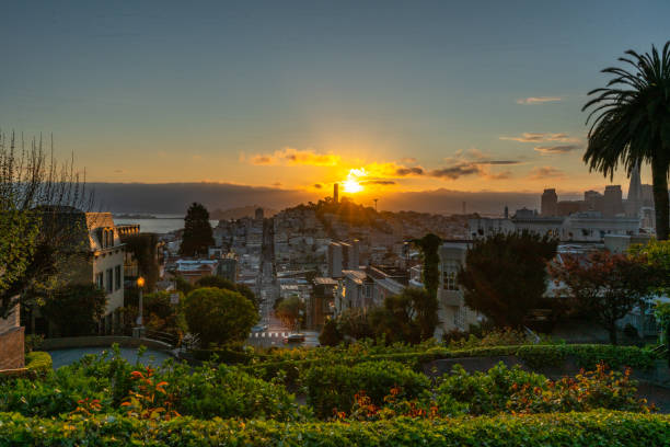 istock Coit Tower Sunrise from Lombard Street 1214948614