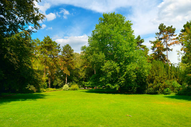 istock Beautiful summer garden with large green meadow 1214949320