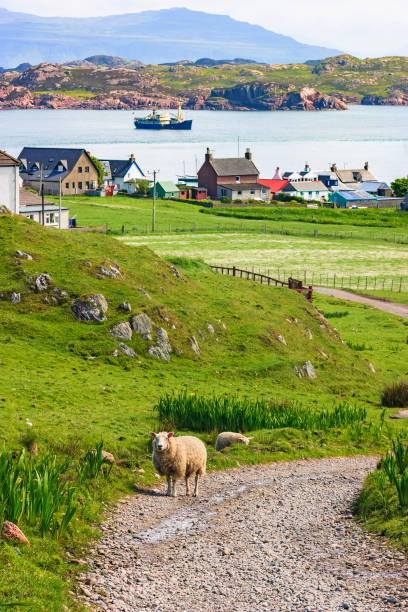 vue d’iona une île en ecosse - iona photos et images de collection