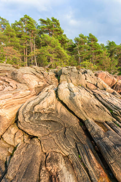 rock formations in beautiful sunlight at a forest - rock strata natural pattern abstract scenics imagens e fotografias de stock