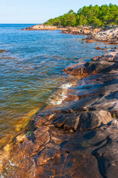 istock Rocky beach in a archipelago with a forest 1214950812