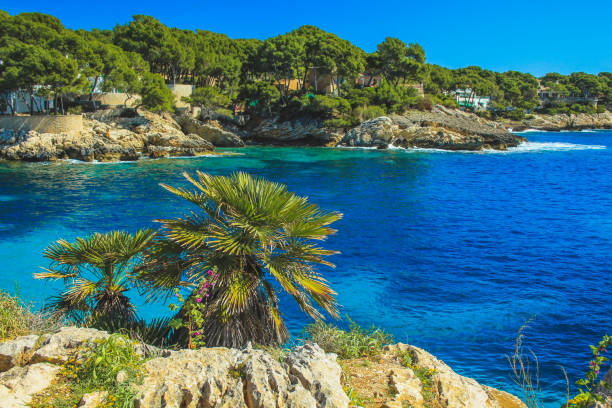 istock Cala Gat beach in Cala Rajada 1214952245