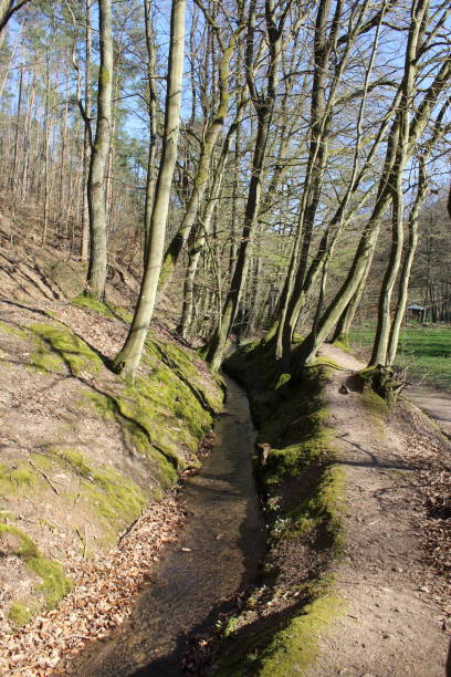 Hiking at Spessart, Germany