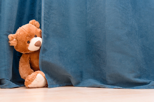 Kids toy brown funny Teddy bear peeks out from behind the blue curtain. Copy space