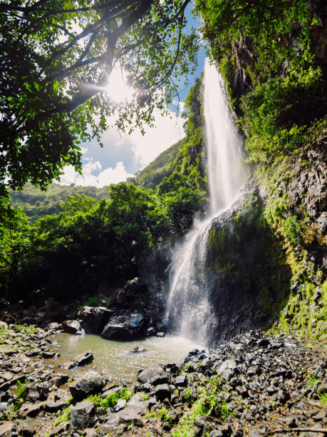istock Cascade waterfall in the tropical jungle of Mauritius, Black river 1214958109