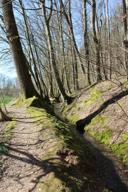istock Hiking trail in Spessart Germany 1214958291