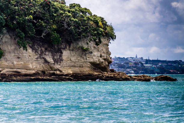 a lo largo de la línea de costa en narrows neck beach, auckland, nueva zelanda - auckland region fotografías e imágenes de stock