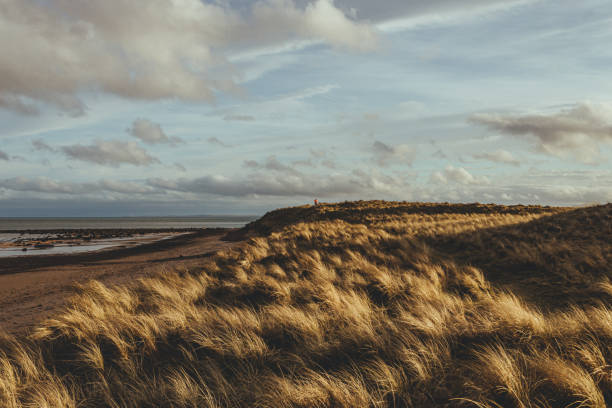 istock Man walking along the North Sea coast in Brora 1214959241