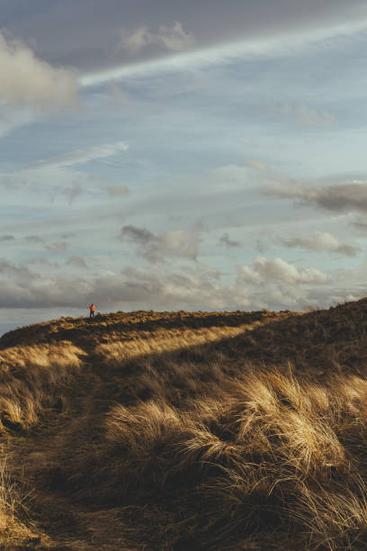 istock Man walking along the North Sea coast in Brora 1214959258