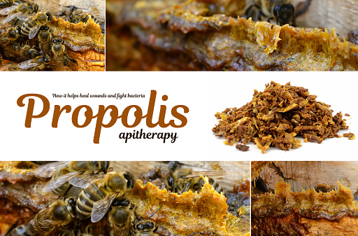 Propolis in the middle of a hive with bees. Bee glue. Bee products. Apitherapy. Propolis treatment. How it helps heal wounds and fight bacteria. Photo collage on beekeeping theme