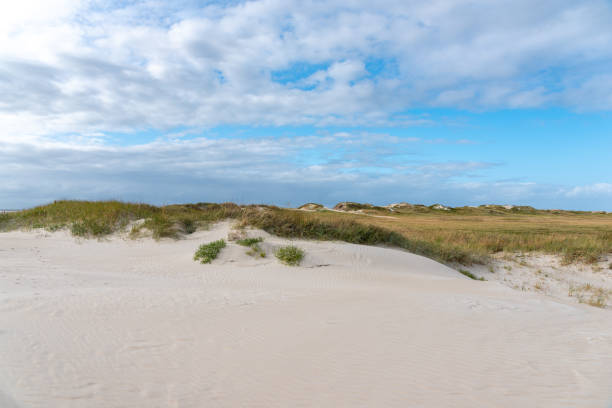 istock Dune landscape on the beach of St Peter-Ording 1214961115