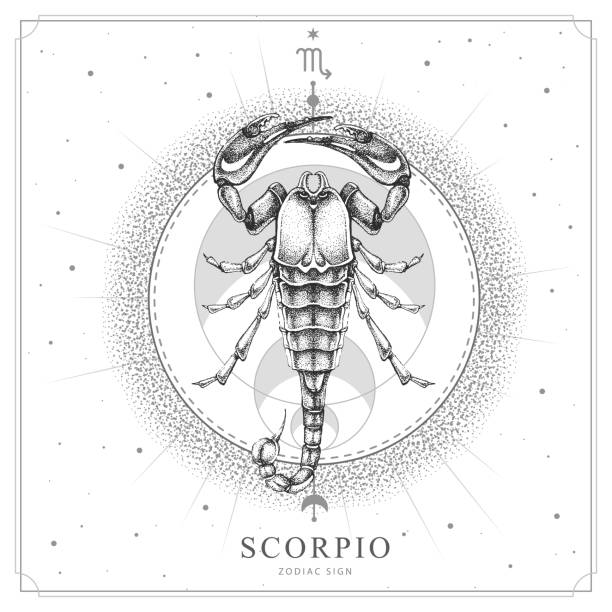 kuvapankkikuvitukset aiheesta moderni taianomainen noituuden kortti, jossa on astrologian scorpio-eläinradan merkki. realistinen käsin piirtäminen skorpioni kuva - scorpio